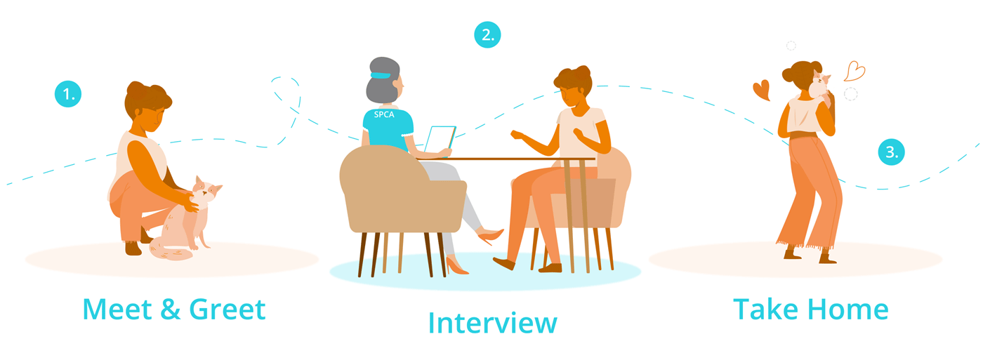 adopt procedure adopt procedure