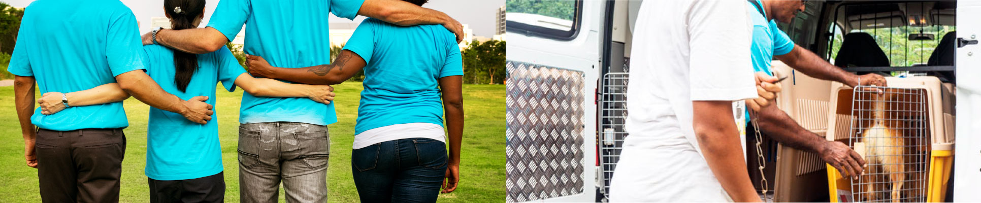 campaign caring compassionate campaign caring compassionate