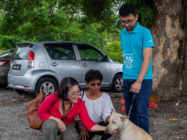 pet care program pet care program